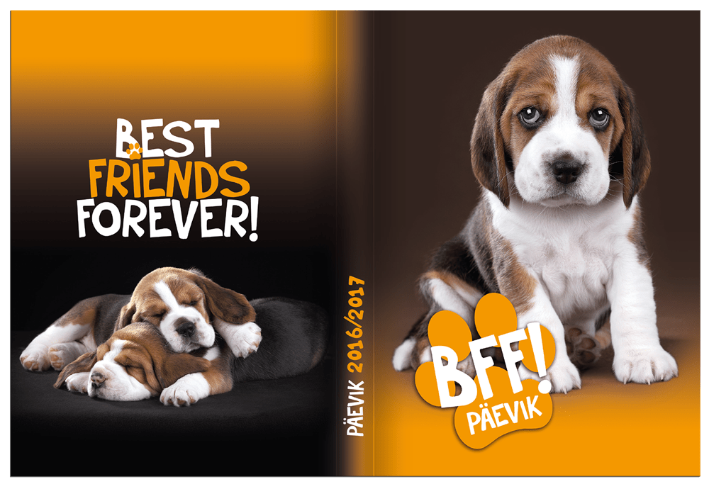 paevik-bff_2