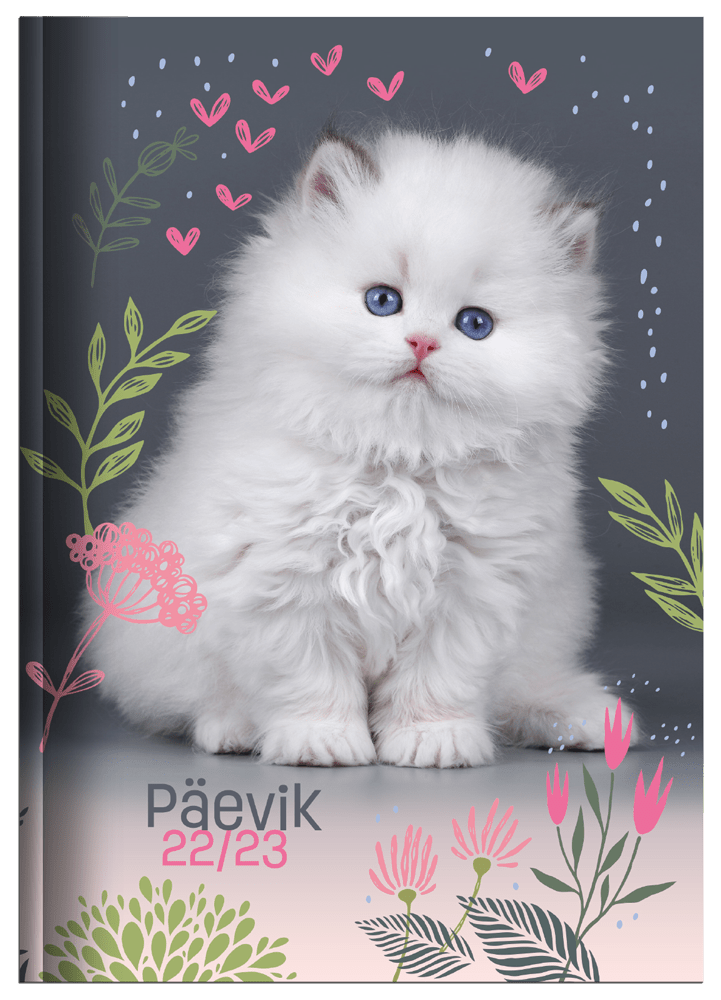 paevik-kass23_1