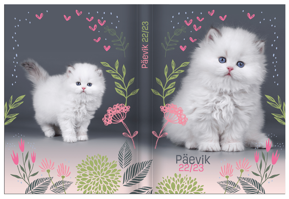 paevik-kass23_2