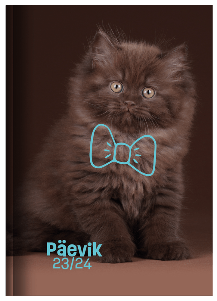 paevik-kass24_1