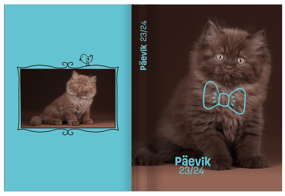 paevik-kass24_2