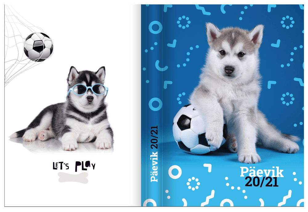 paevik-pall_2